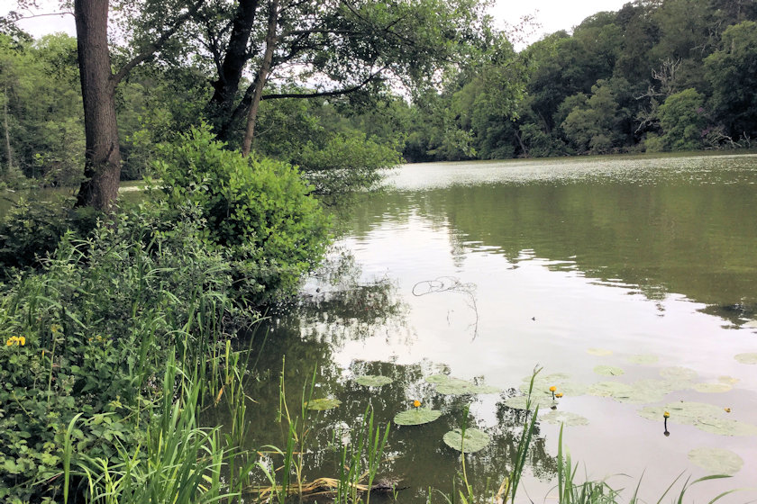 Blakemere photograph